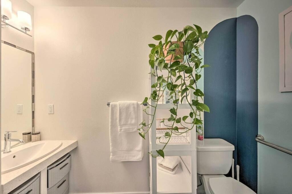 Stylish Ballard Studio 15 Mins From Space Needle سياتل المظهر الخارجي الصورة